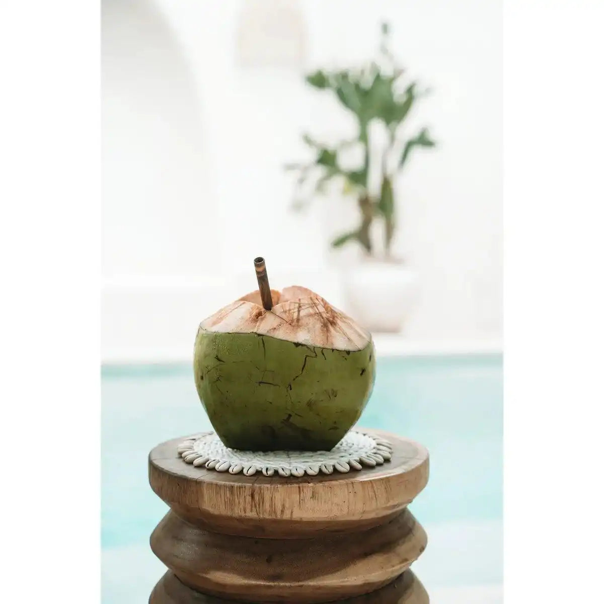 Der Seagrass Shell Pan Coaster - Weiß - HomeDesign Knaus