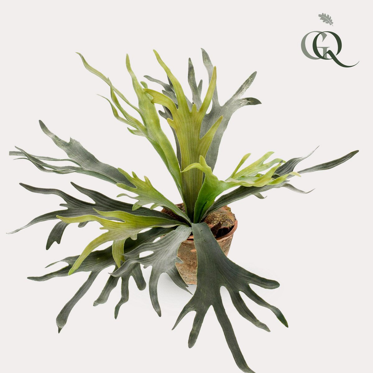 Kunstpflanze - Staghorn Fern - Hertshoorn - 50 cm
