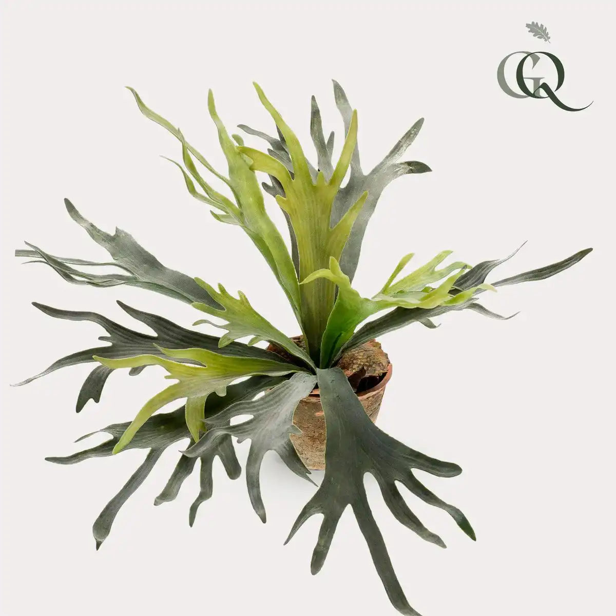 Kunstpflanze - Staghorn Fern - Hertshoorn - 50 cm