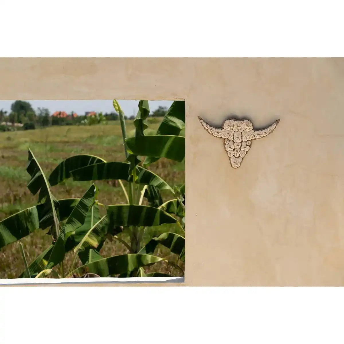 Die Bullenschale – Weiß - HomeDesign Knaus
