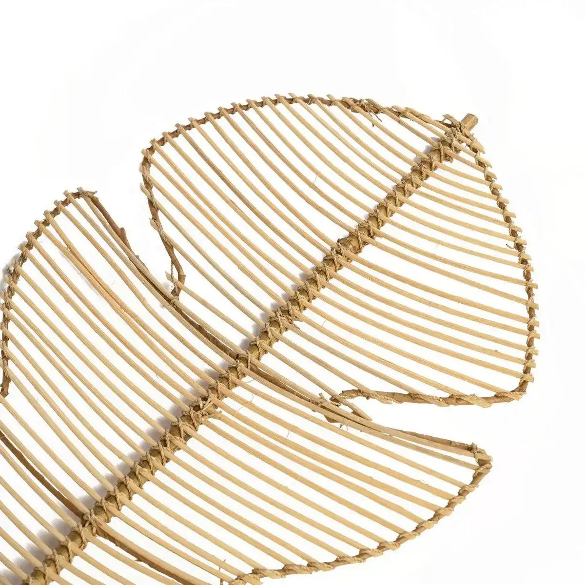 Die Rattan-Monstera – Natur - HomeDesign Knaus