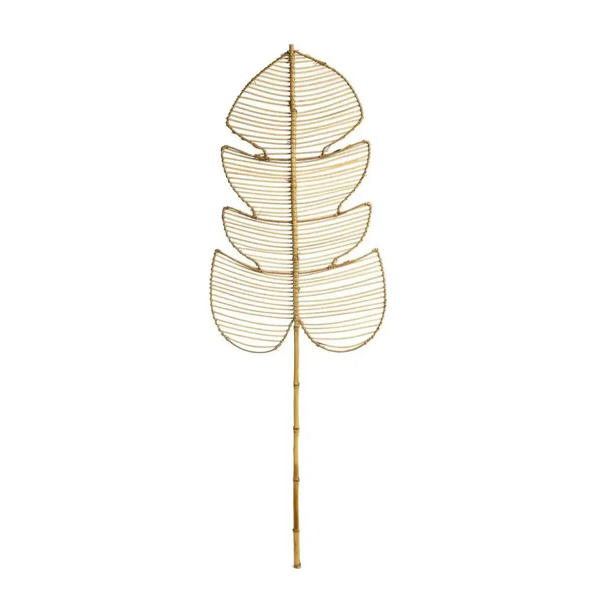 Die Rattan-Monstera – Natur - HomeDesign Knaus