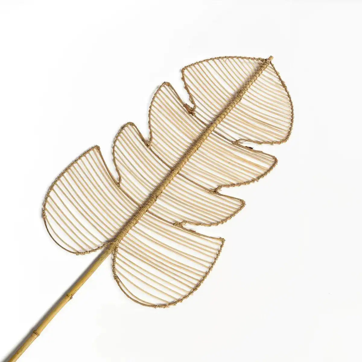 Die Rattan-Monstera – Natur - HomeDesign Knaus