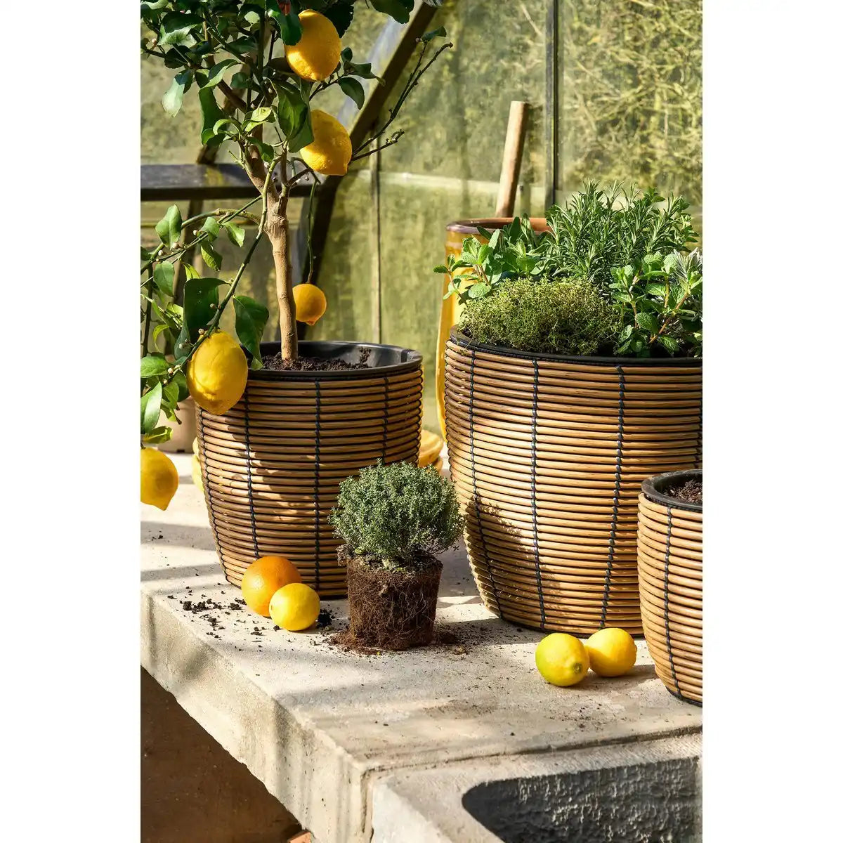 Durban Blumenpot außerhalb - Set von 3 - H36 x Ø40 cm - recyceltes Kunststoff - Braun - HomeDesign Knaus