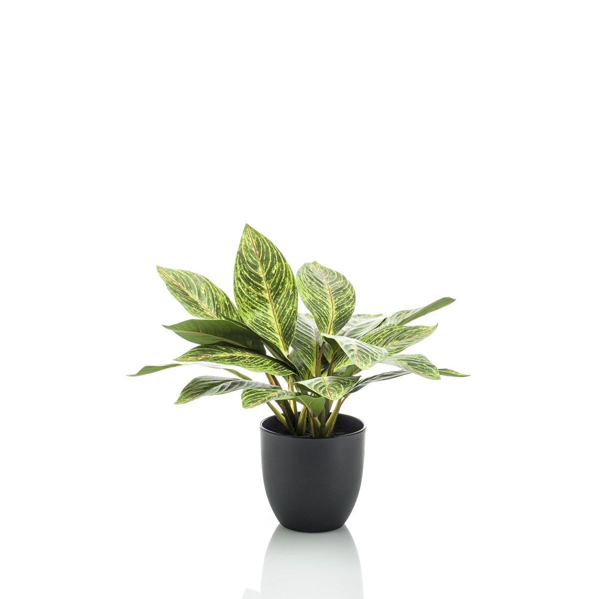 Kunstpflanze - Croton Codiaeum - Wonder Bush - 38 cm