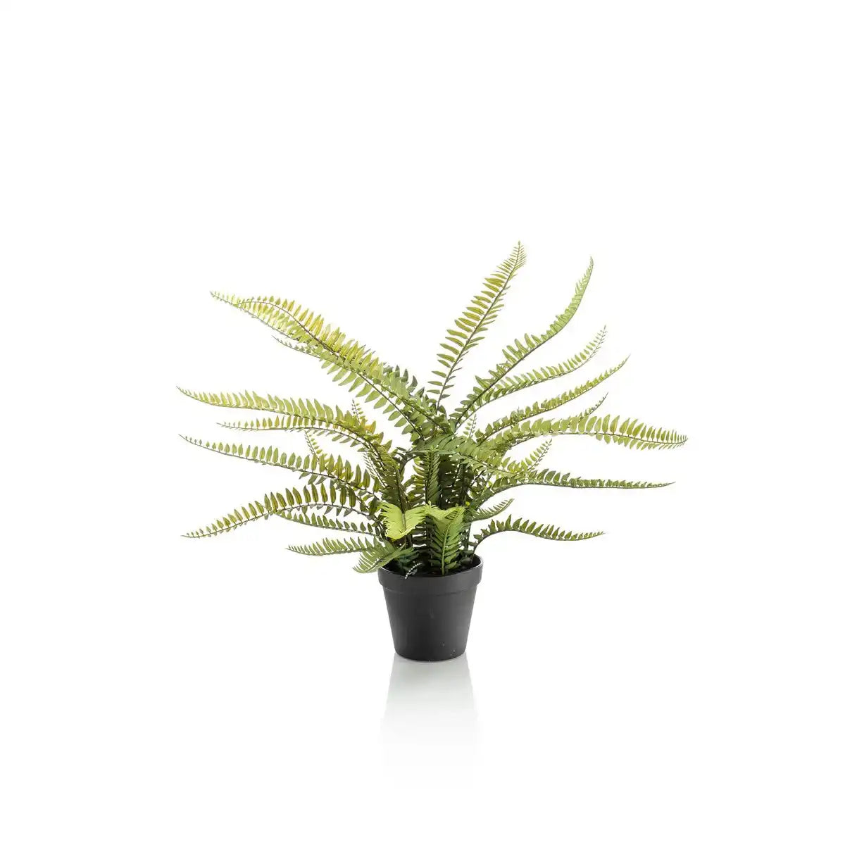 Kunstpflanze - Nephrolepis exaltata - Bostonvaren - 55 cm