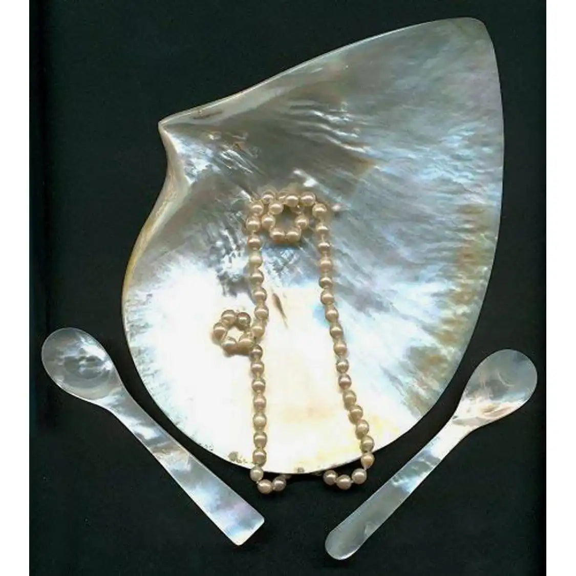 EDZARD Perlmuttlöffel Kaviarlöffel Eierlöffel, hochwertige Handarbeit, abgerundete Ecken, Länge ca. 11 cm - HomeDesign Knaus