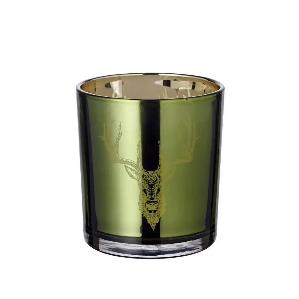 EDZARD Windlicht Alex grün H 8 cm - HomeDesign Knaus