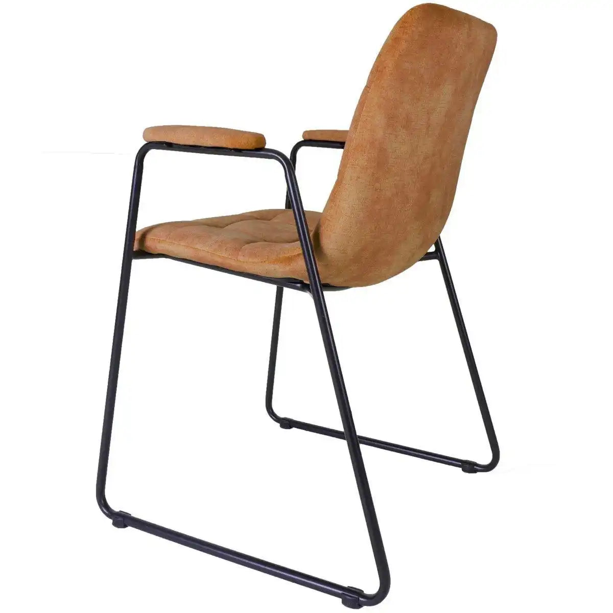 Esszimmerstuhl Maxime Samt mit Armlehne Robust - HomeDesign Knaus