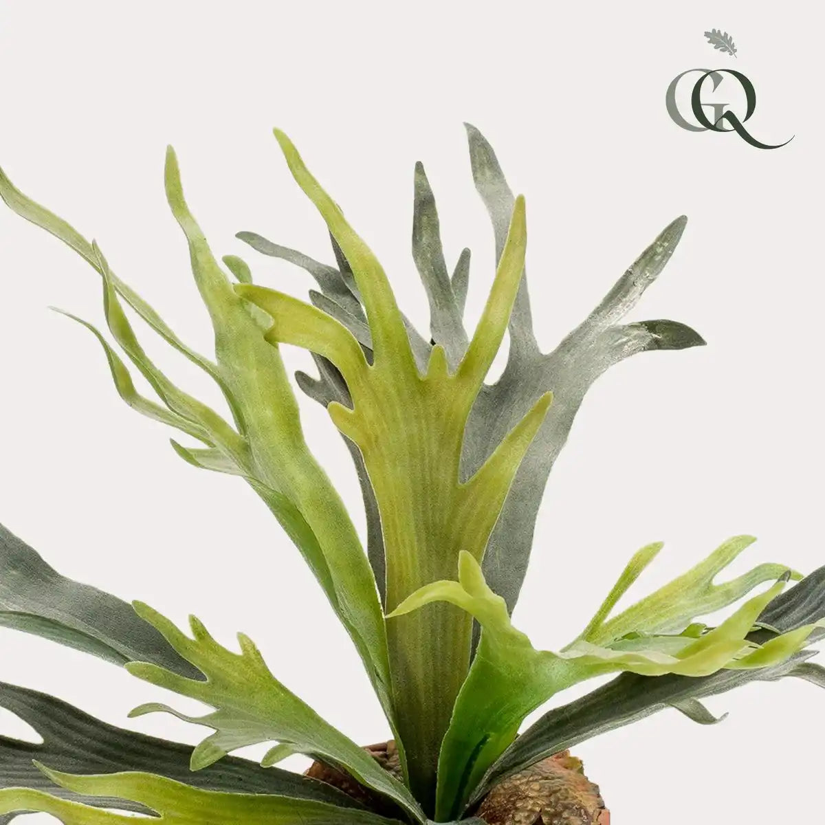 Kunstpflanze - Staghorn Fern - Hertshoorn - 50 cm