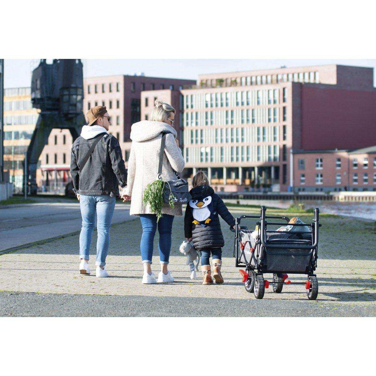 Faltbarer Bollerwagen 'AddPlus' mit Bremse, Grautöne gemischt - HomeDesign Knaus