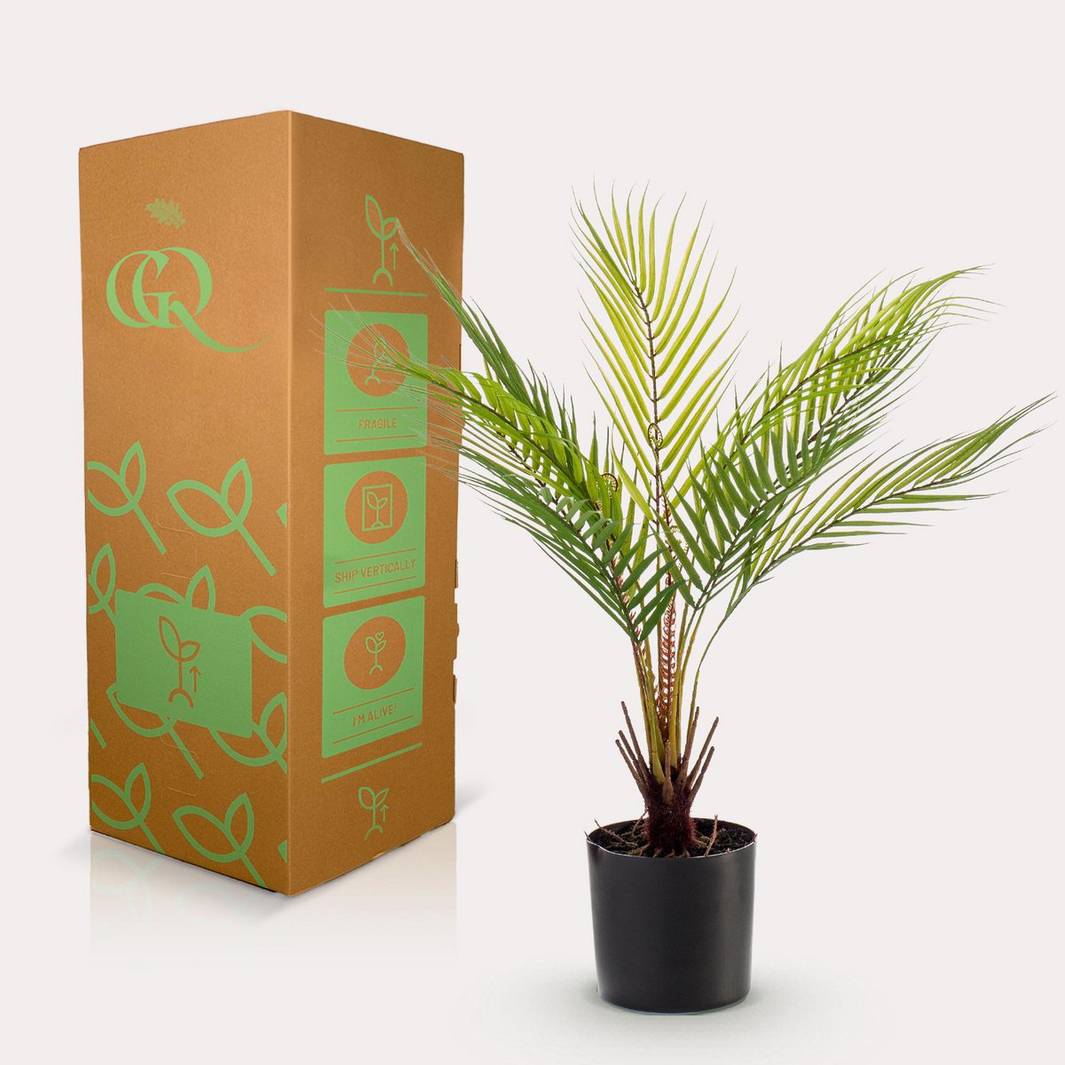 Kunstpflanze - Chamaedorea - Bergpalm - 50 cm