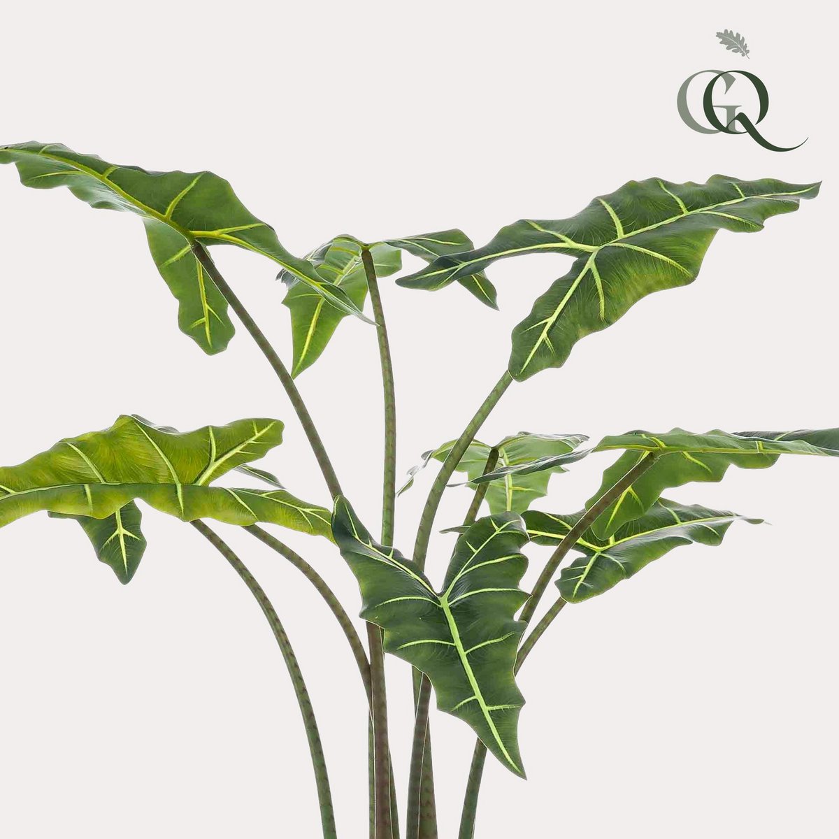 Künstliche Pflanze - Alocasia Frydek - Elefantenohr - 120 cm