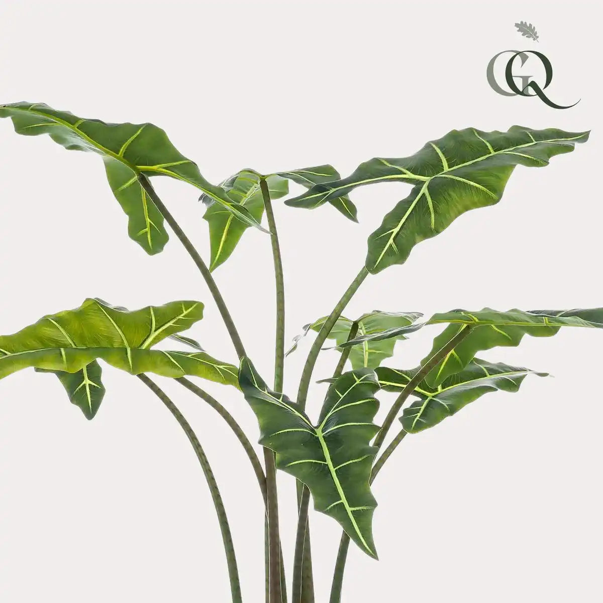 Künstliche Pflanze - Alocasia Frydek - Elefantenohr - 120 cm