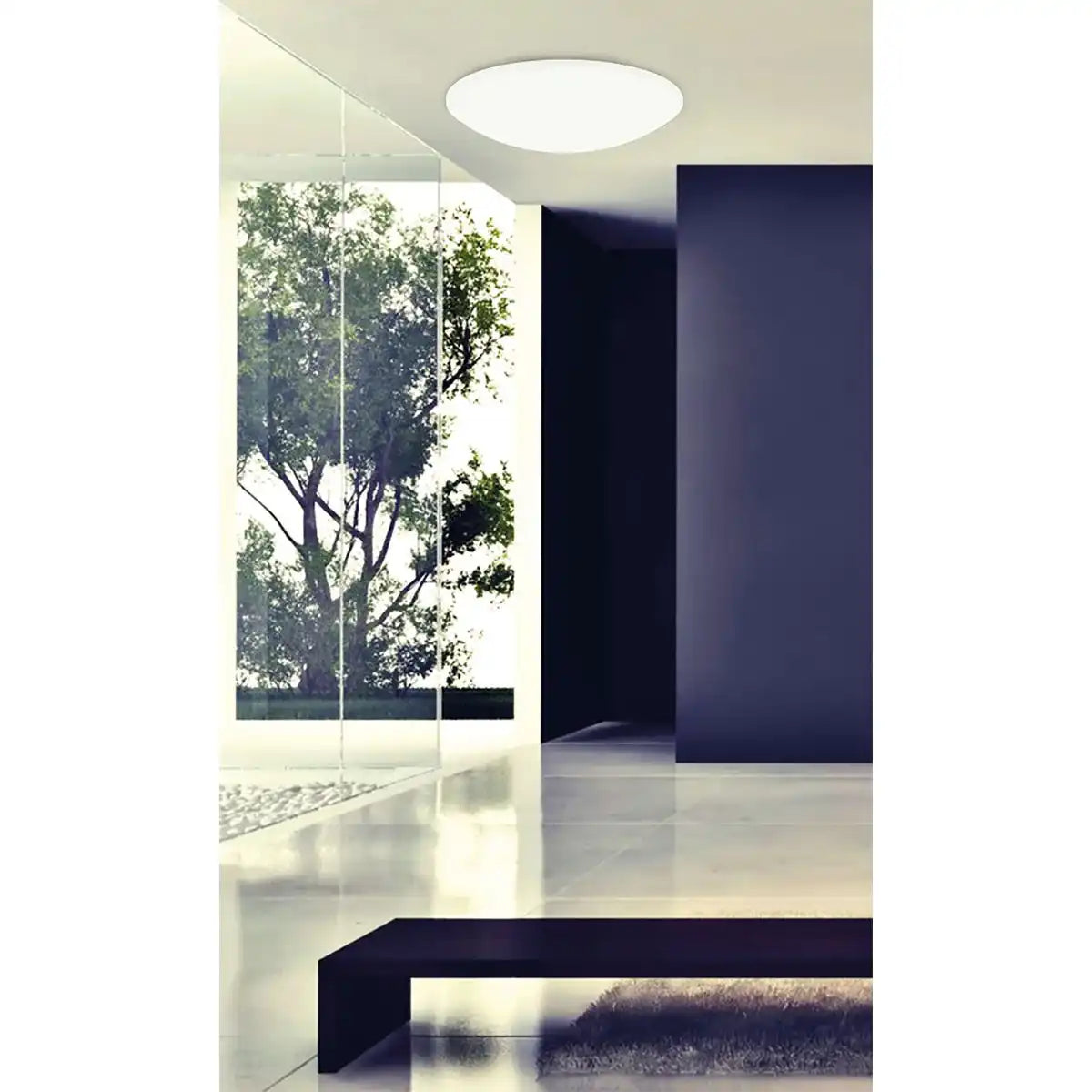 LED Deckenleuchte "DARWIN"