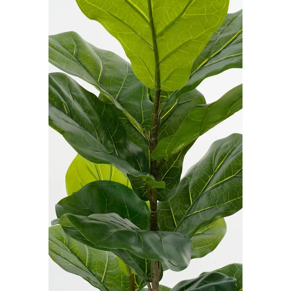 Ficus lyrata Künstliche Pflanze im Topf - H150 x Ø50 cm - Grün - HomeDesign Knaus