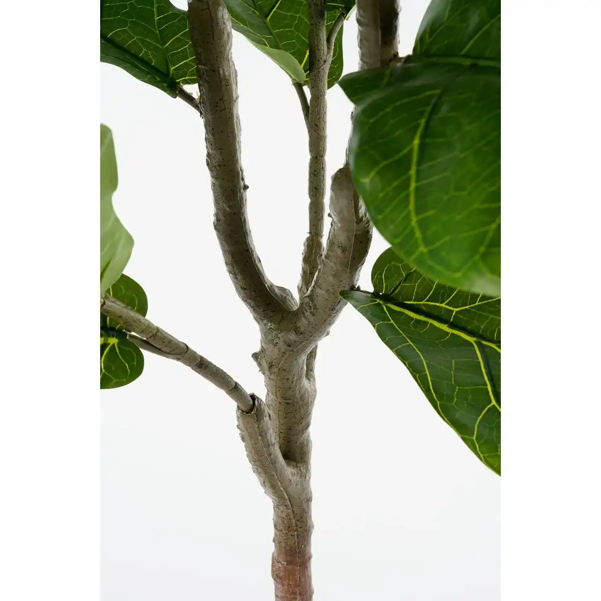 Ficus lyrata Künstliche Pflanze im Topf - H150 x Ø50 cm - Grün - HomeDesign Knaus