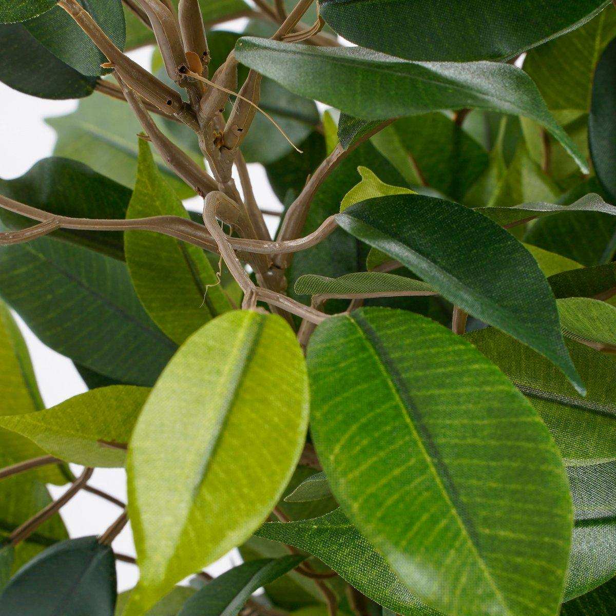 Ficus Natasja Künstliche Pflanze im Stan-Blumentopf – H40 x Ø30 cm – Grün - HomeDesign Knaus
