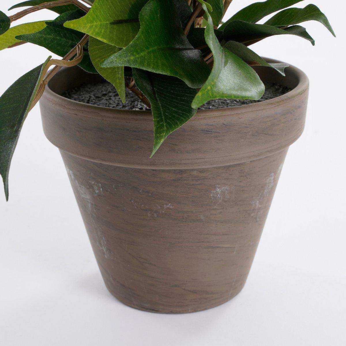 Ficus Natasja Künstliche Pflanze im Stan-Blumentopf – H40 x Ø30 cm – Grün - HomeDesign Knaus