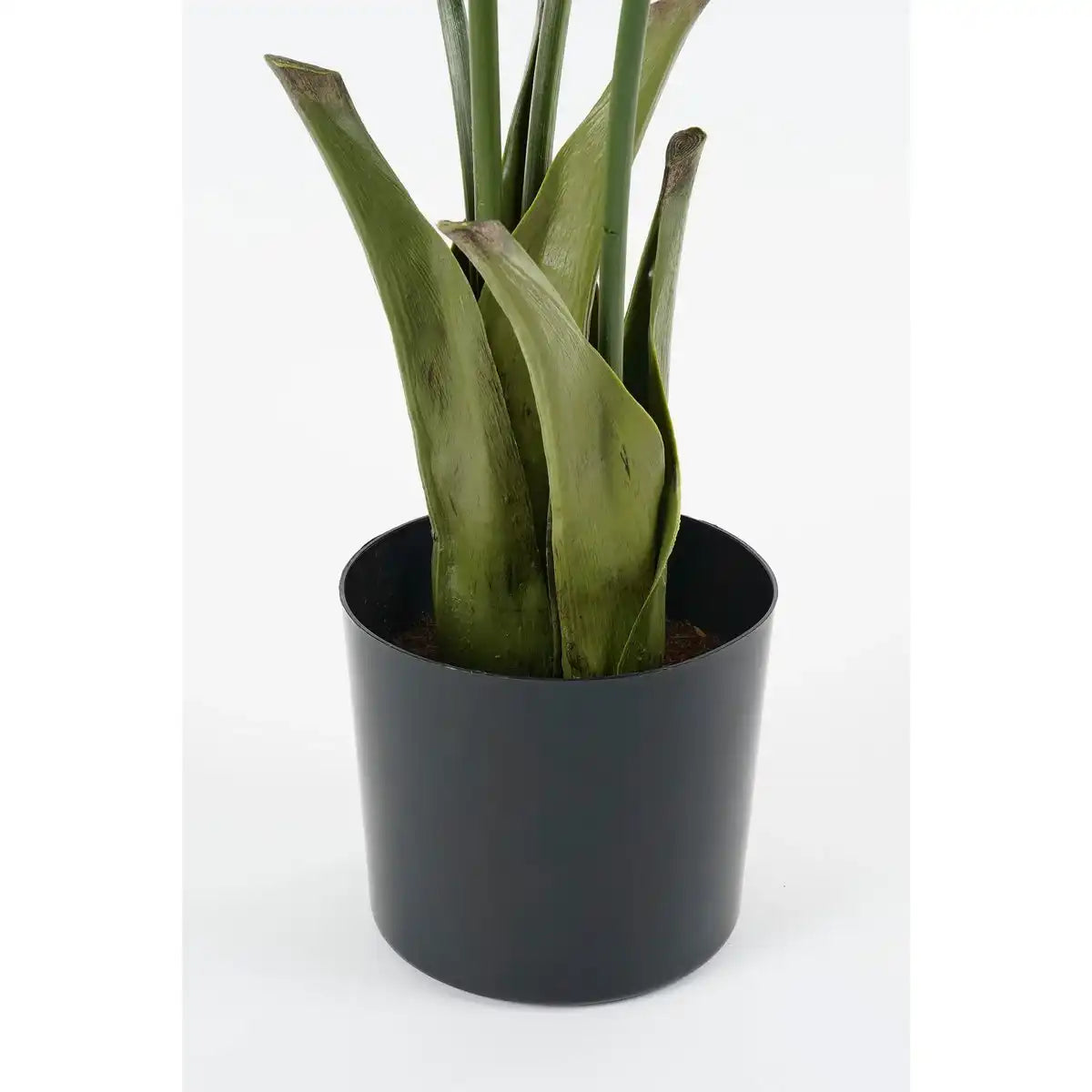 Fischschwanzpalmenkunstpflanze im Topf - H150 x Ø100 cm - grün - HomeDesign Knaus