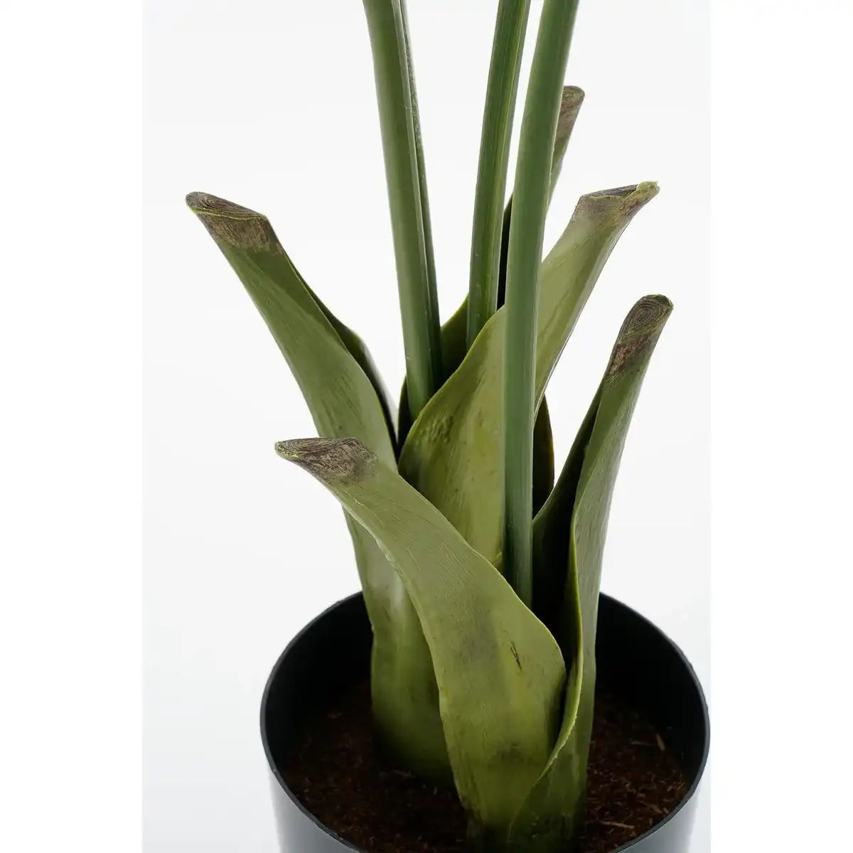 Fischschwanzpalmenkunstpflanze im Topf - H150 x Ø100 cm - grün - HomeDesign Knaus