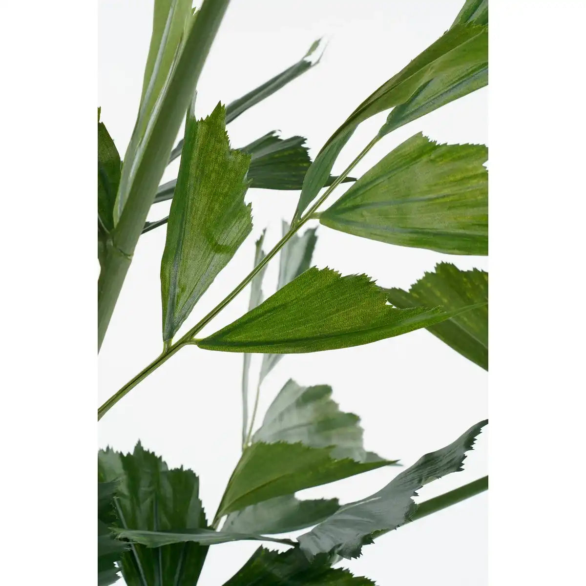 Fischschwanzpalmenkunstpflanze im Topf - H150 x Ø100 cm - grün - HomeDesign Knaus