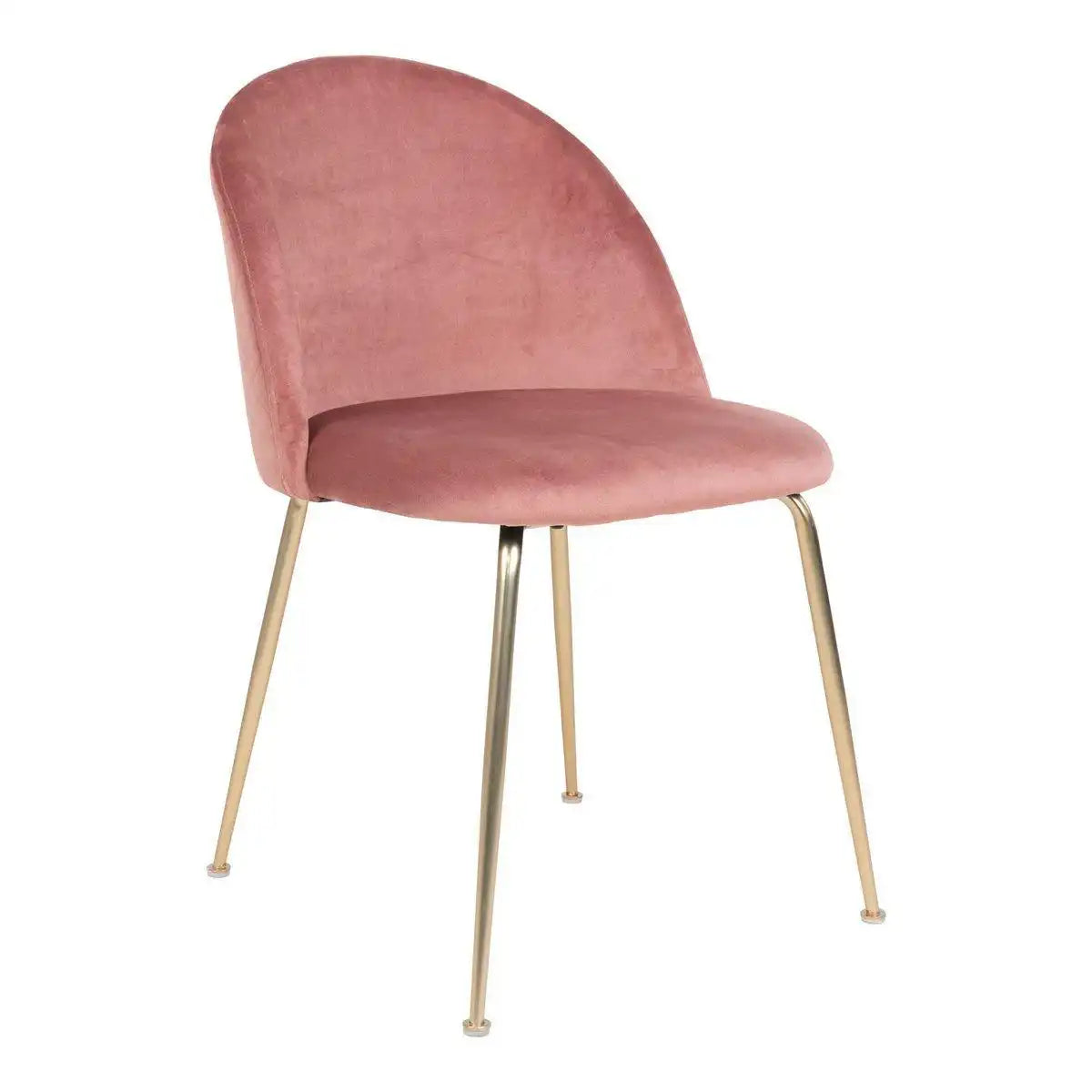Geneve Esszimmerstuhl – 2er-Set - HomeDesign Knaus