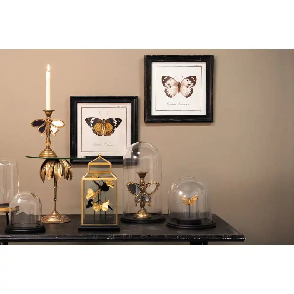 Glasglocke mit Holzsockel - HomeDesign Knaus