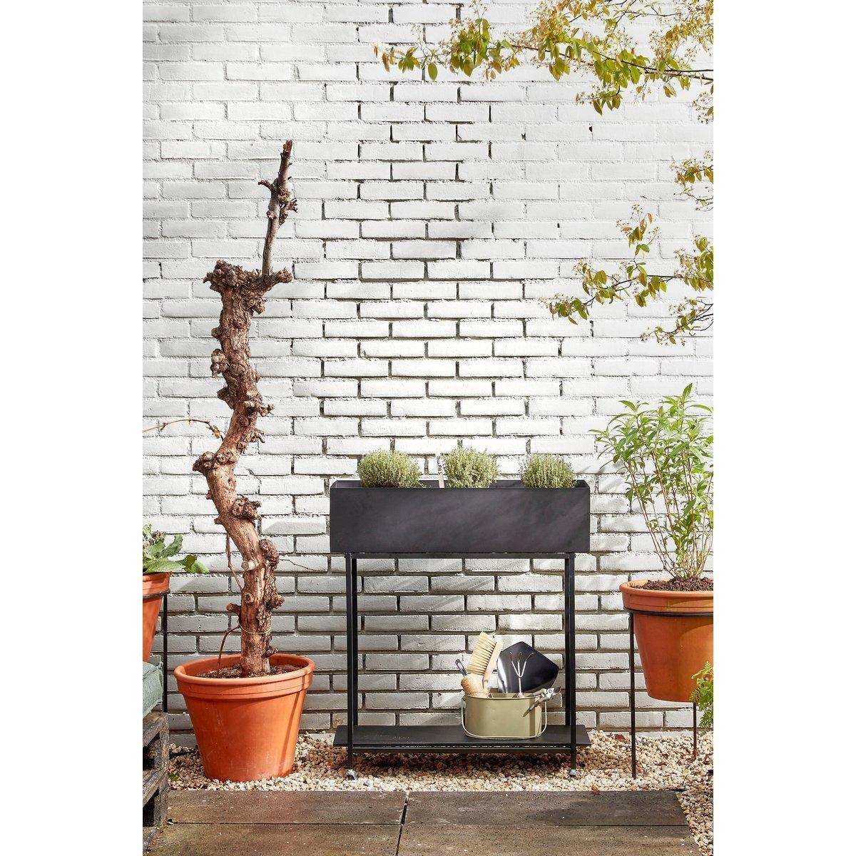Greenrax Pflanzenständer – L70 x B29 x H94 cm – Metall – Schwarz - HomeDesign Knaus