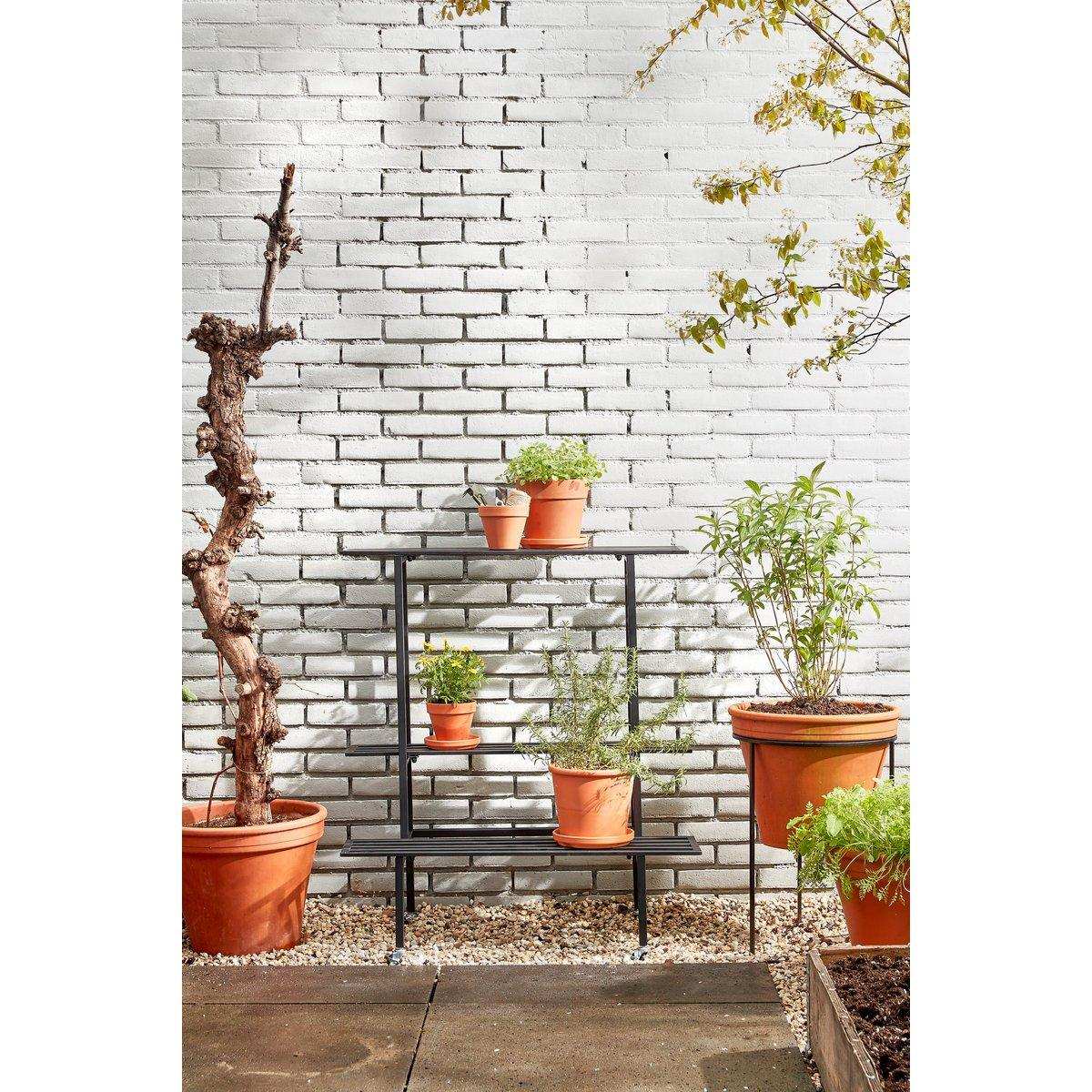 Greenrax Pflanzenständer – L90 x B44 x H102 cm – Metall – Schwarz - HomeDesign Knaus