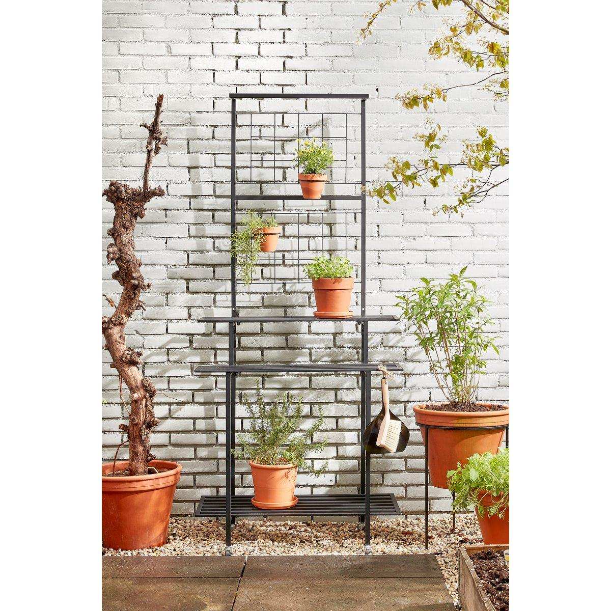 Greenrax Pflanzenständer – L90 x B44 x H190 cm – Metall – Schwarz - HomeDesign Knaus