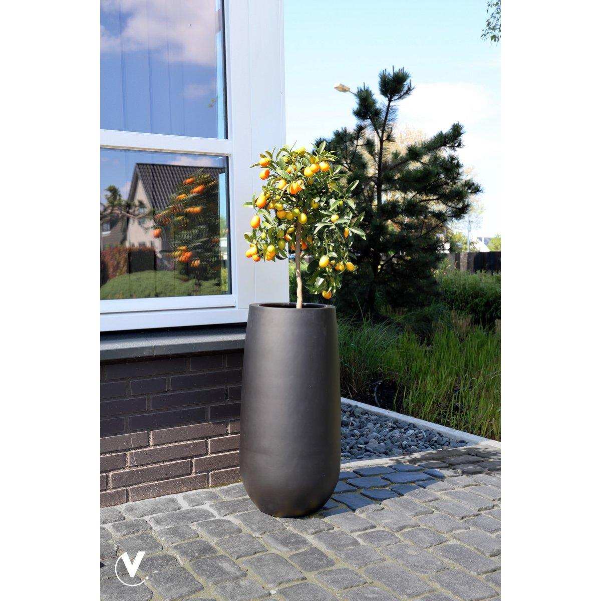 Idaho schwarz - HomeDesign Knaus