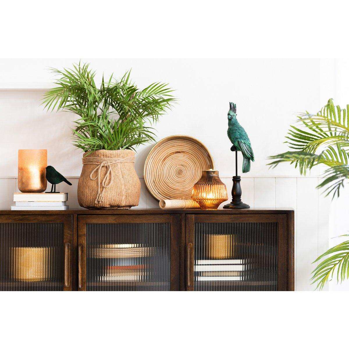 J-Line Bergpalme im Kunststofftopf Grün/Schwarz Klein - HomeDesign Knaus
