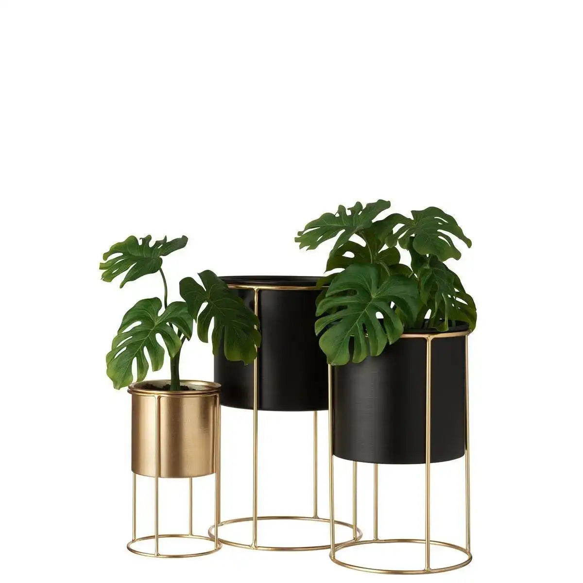 J-Line Blumentopf auf Fuß - Metall - Schwarz - Groß - Ø 18,00 cm - HomeDesign Knaus