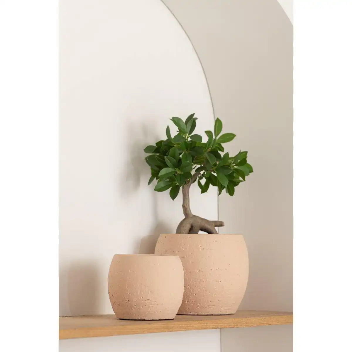 J-Line Blumentopf Enya - Keramik - Beige - extra groß - Ø 28,00 cm - HomeDesign Knaus