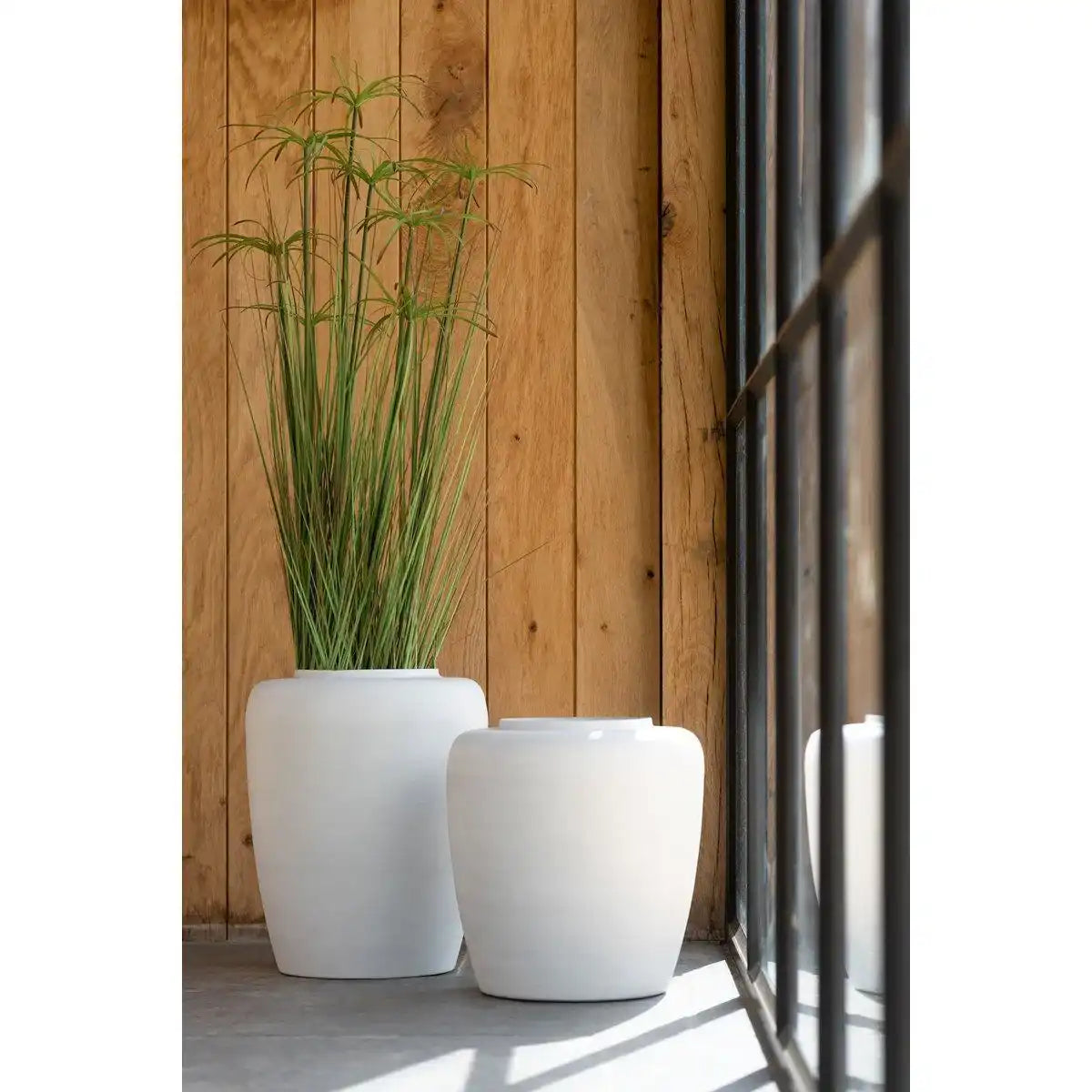 J-Line Cyperus Alternifolius 5 Koppen im Topf PVC Grün Klein - HomeDesign Knaus