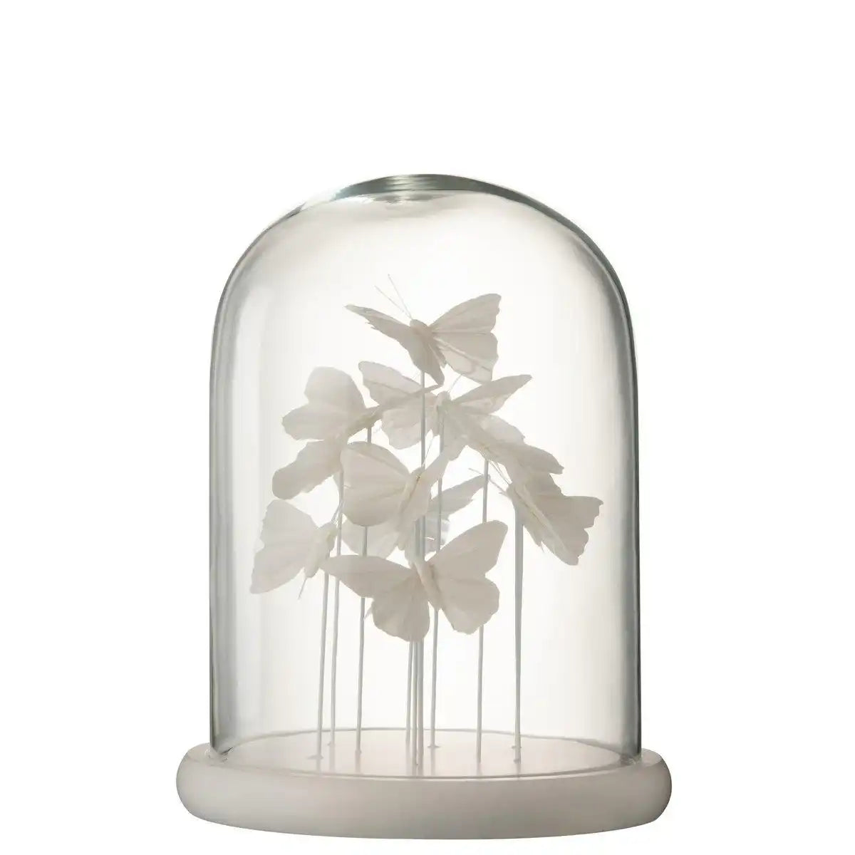 J-Line Dekoration Bell Jar Butterfly – Glas – Weiß – groß - HomeDesign Knaus