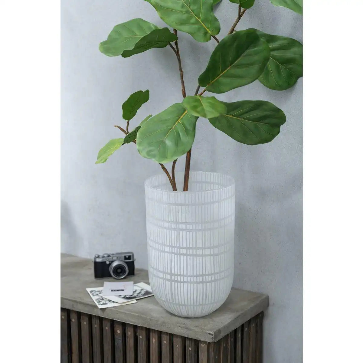 J-Line Geigenblattpflanze, Kunststoff, Grün - HomeDesign Knaus