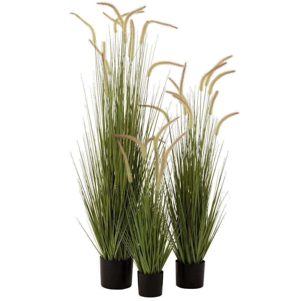 J-Line Gräser+Schwänze im Topf Kunststoff grün groß - HomeDesign Knaus
