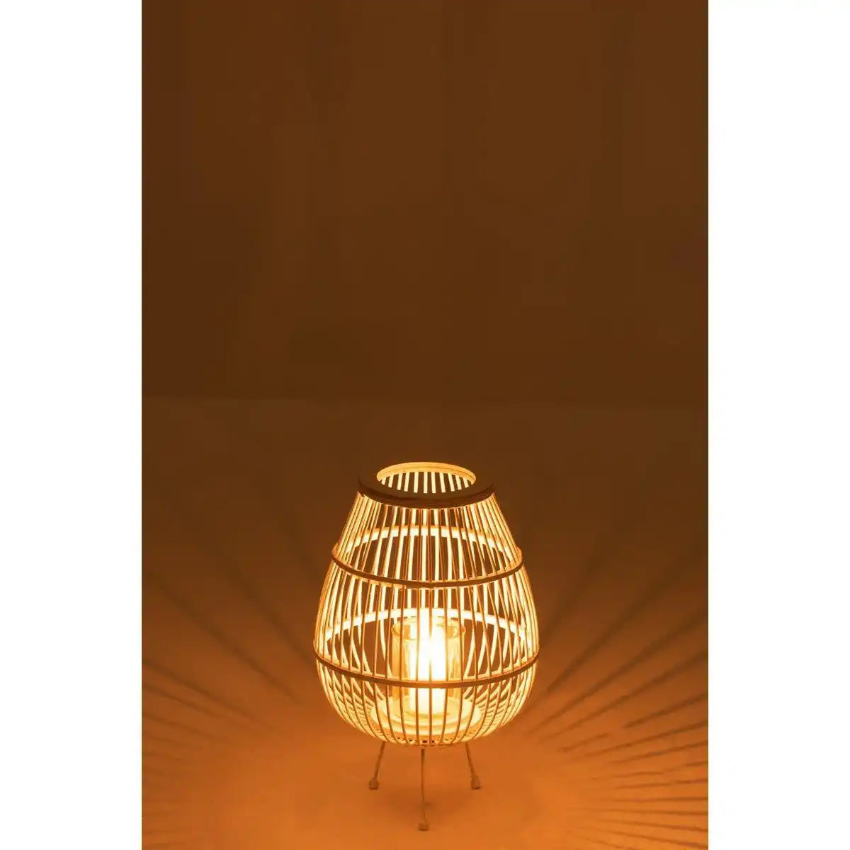 J-Line Laterne Daya – Holz – Weiß – klein - HomeDesign Knaus