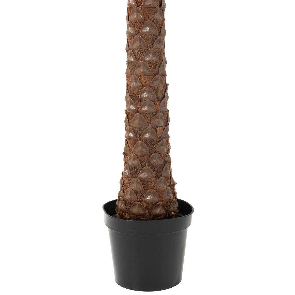 J-Line Palme 4 Kokosnuss im Topf Kunststoff grün - HomeDesign Knaus