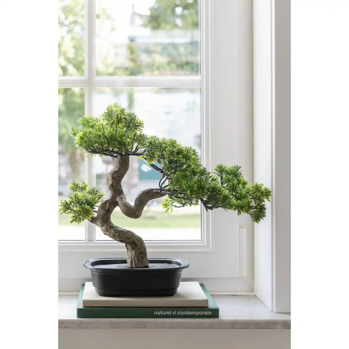 J-Line Pflanze Podocarpus Bonsai - Kunststoff - grün - klein - HomeDesign Knaus