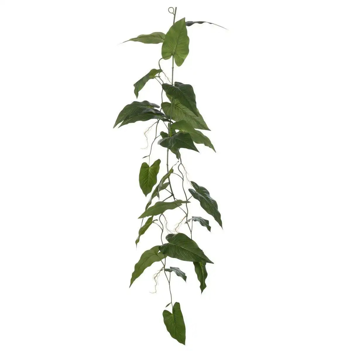 J-Line Pflanzen Anthurium Liana - Kunststoff - Grün - HomeDesign Knaus