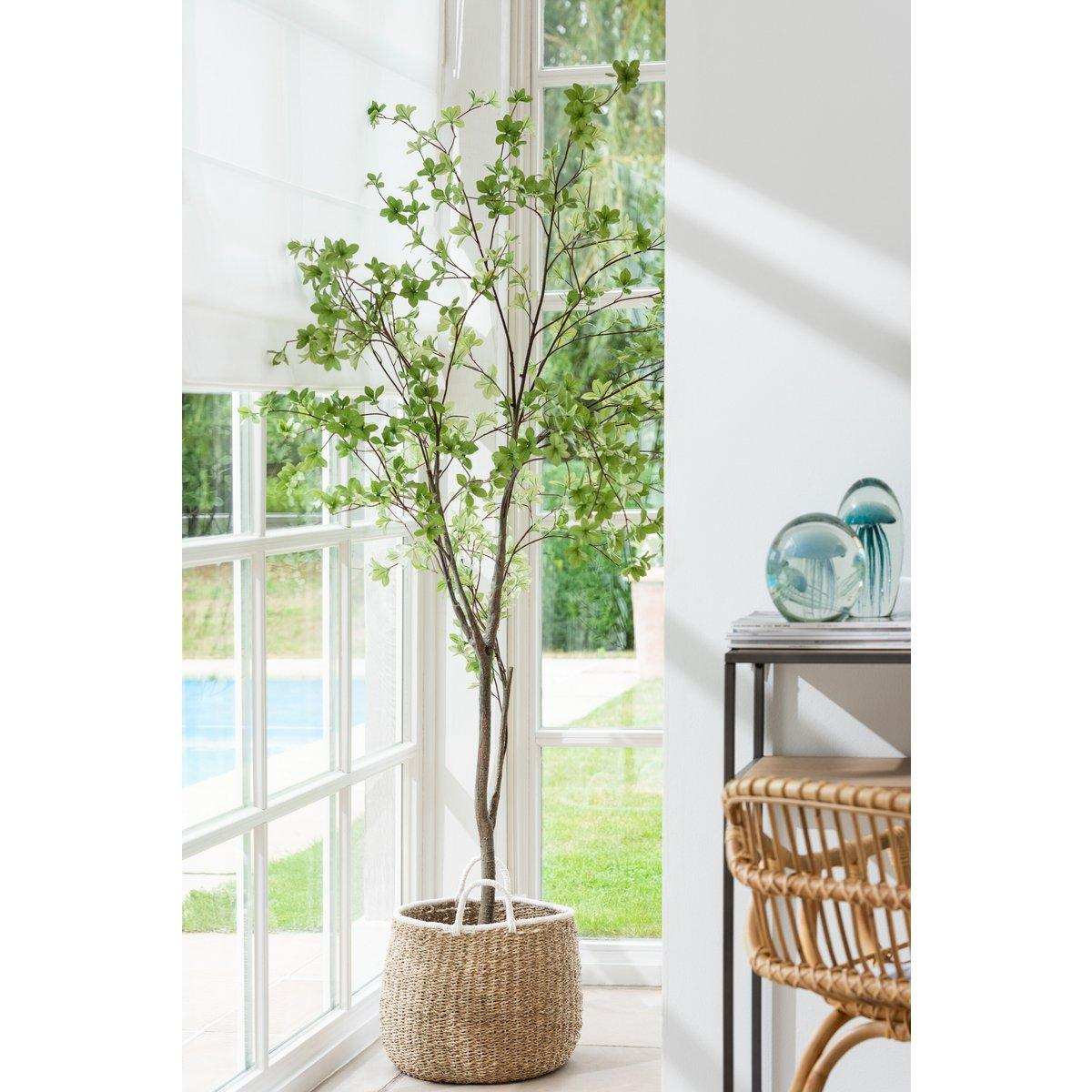 J-Line Plant Fine Leaves Kunststoff Grün/Schwarz - HomeDesign Knaus