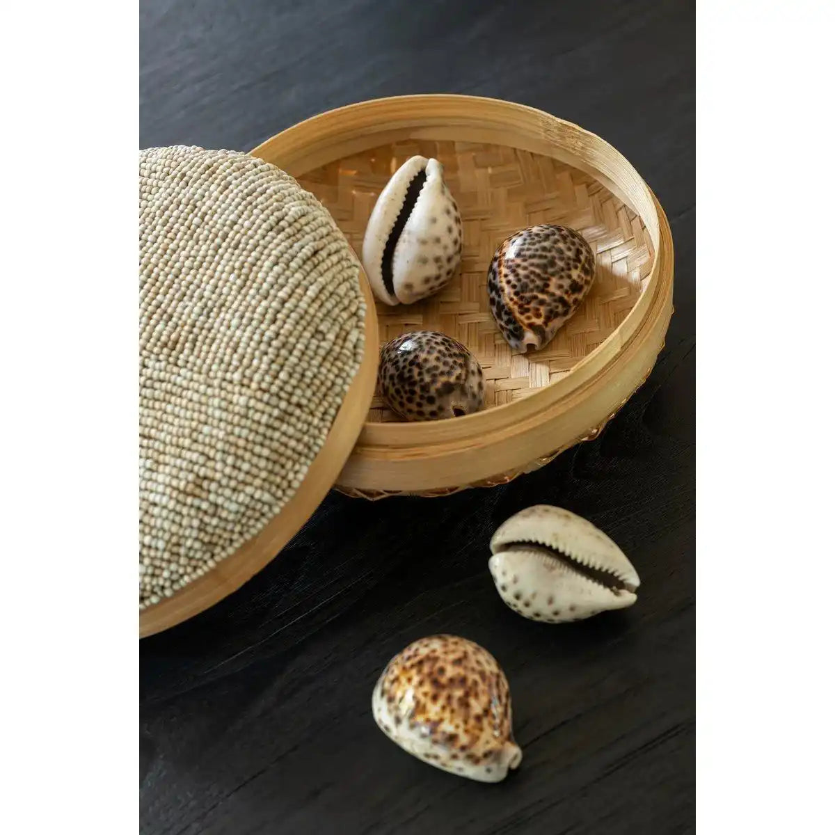 J-Line Set mit 14 Tigermuscheln, Muschel natur - HomeDesign Knaus