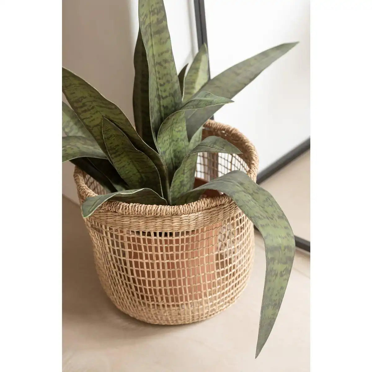 J-Line Set mit 5 Körben Oasis Seagrass Light Natural - HomeDesign Knaus