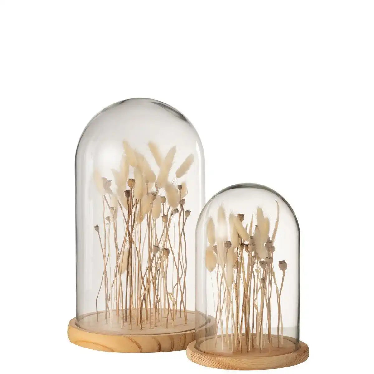 J-Line Stolp Droogbloemen Ecru/Bruin Glas Hout Large - HomeDesign Knaus
