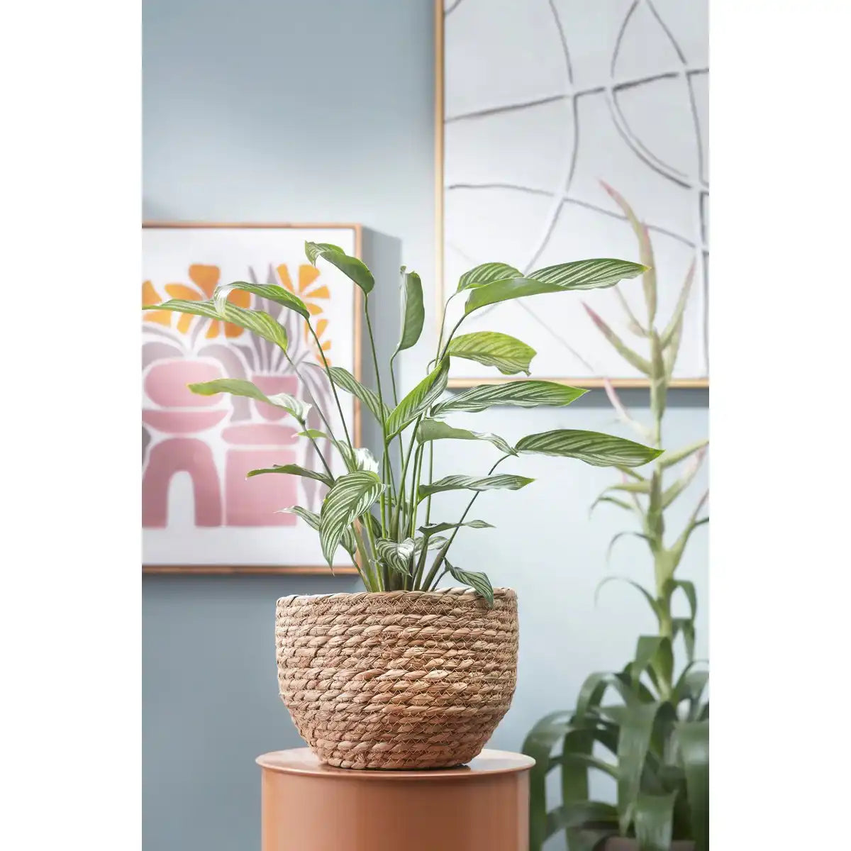 Jorck Pflanzkorb – 3er-Set – H24 x Ø26 cm – Seegras – Hellbraun - HomeDesign Knaus