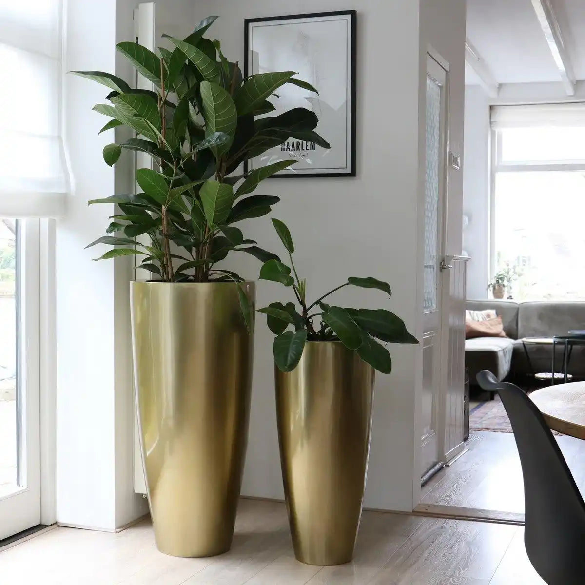 Kentucky-Gold - HomeDesign Knaus