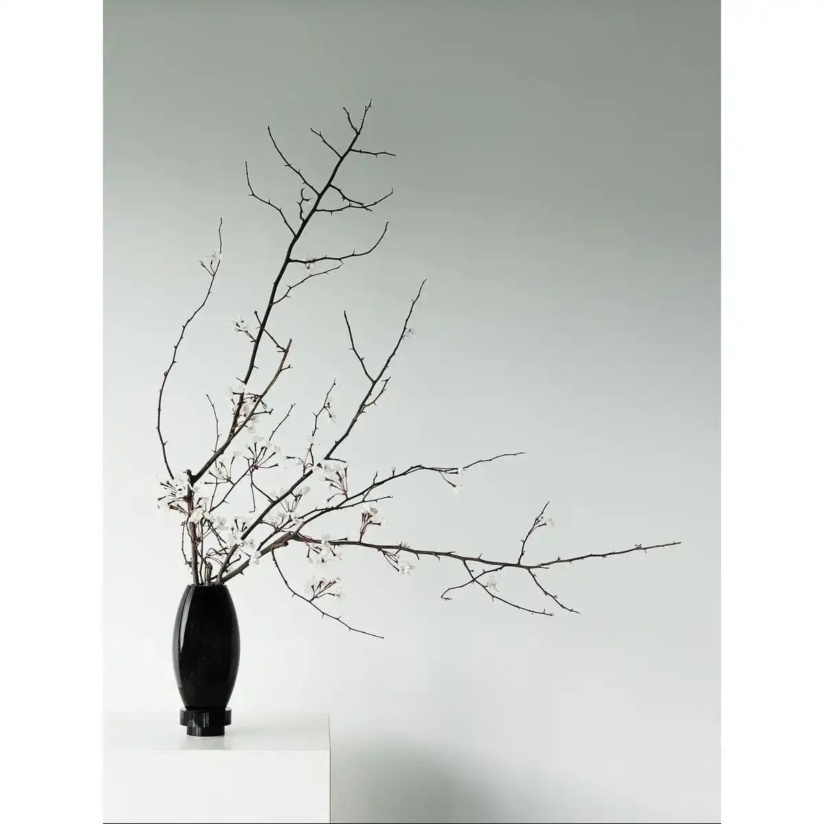 Kleine moderne Vase, innovatives Design, Rückseite aus hochwertigem Glas. RUD15ZW - HomeDesign Knaus